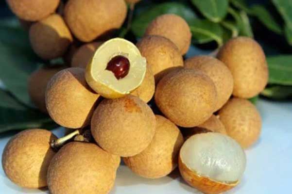 Phụ nữ ăn 8 món này kích thích cơ thể tự sản sinh collagen, giúp trẻ lâu, da đẹp, khỏe mạnh mỗi ngày