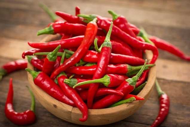 Phát hiện mới: Ớt là khắc tinh của tế bào ung thư phổi, chặn đứng quá trình di căn nhanh chóng