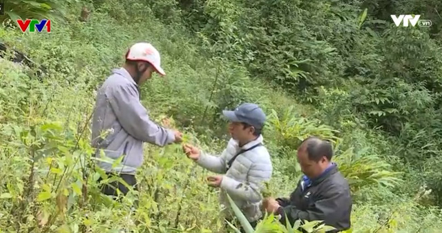 Hơn 11.000 tỷ đồng phát triển Tây Nguyên