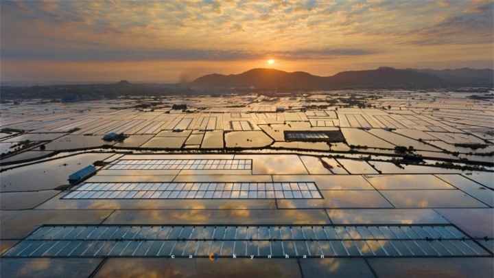 Đi Vũng Tàu nhiều nhưng không phải ai cũng biết cánh đồng đẹp đến say lòng này - 2