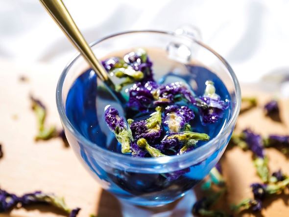 Những công dụng của trà hoa đậu biếc đối với sức khỏe