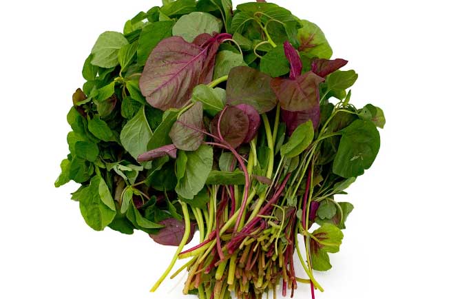 Đông y ví đây là rau đệ nhất "bổ máu, trường thọ", giàu canxi: "Một nắm" cải thiện sức khỏe, dại gì không ăn