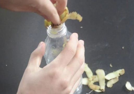 Nhét vỏ khoai tây vào vỏ chai nước rỗng, tưởng chẳng để làm gì mà mang lại lợi ích không ngờ