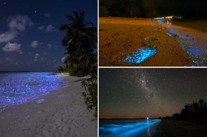 Kỳ ảo bãi biển phát sáng ở Maldives