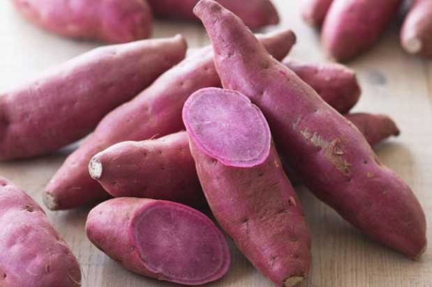 C&#x1EA7;n g&#xEC; spa t&#x1ED1;n ti&#x1EC1;n c&#x1EE9; l&#xE0;m theo c&#xE1;ch n&#xE0;y v&#x1EDB;i khoai lang b&#x1EA1;n s&#x1EBD; c&#xF3; l&#xE0;n da tr&#x1EAF;ng m&#x1ECB;n