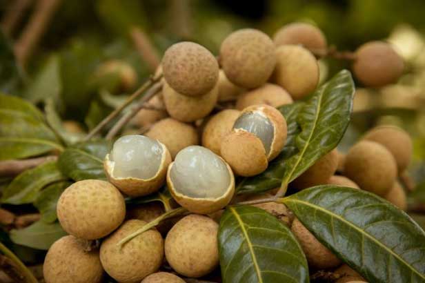 5 loại quả càng ăn càng béo, cân nặng cứ thế tăng vù vù, nguy hiểm hơn thịt, chị em cần tránh xa