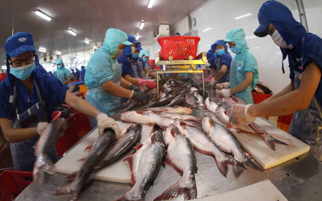 Xuất khẩu thủy sản bật tăng trở lại