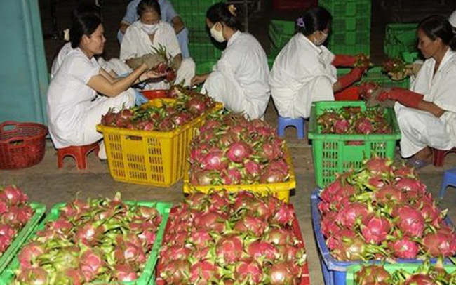 Việt Nam đề nghị Hoa Kỳ tạo thuận lợi cho xuất khẩu hoa quả tươi