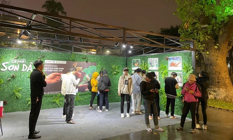 Đà Lạt triển khai mô hình Cà phê Sơn dã bảo vệ động vật hoang dã