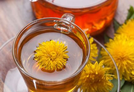 Uống trà bồ công anh đúng cách để giảm cân