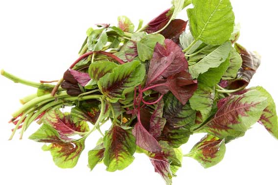 Ăn rau dền ngon đến mấy cũng chớ ăn cùng những thực phẩm này kẻo rước họa vào thân