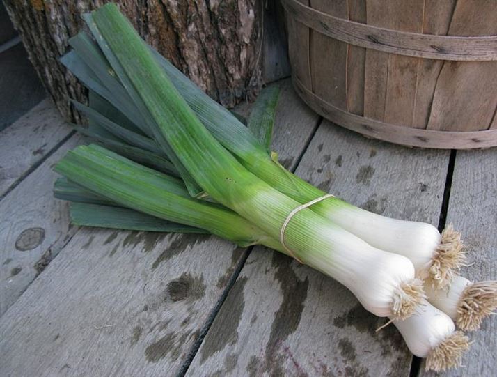 Tác dụng tuyệt vời của tỏi tây