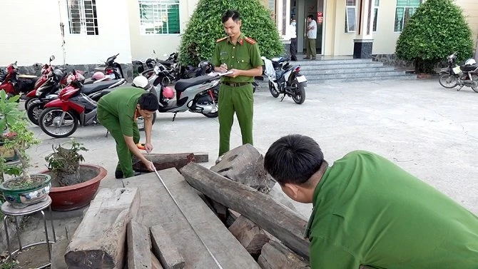 Lực lượng Công an xã Vĩnh Hội Đông kiểm đếm số gỗ tạm giữ