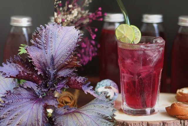 Uống nước lá tía tô nhớ cho thêm thứ này để hồi phục sinh lực, da mịn căng