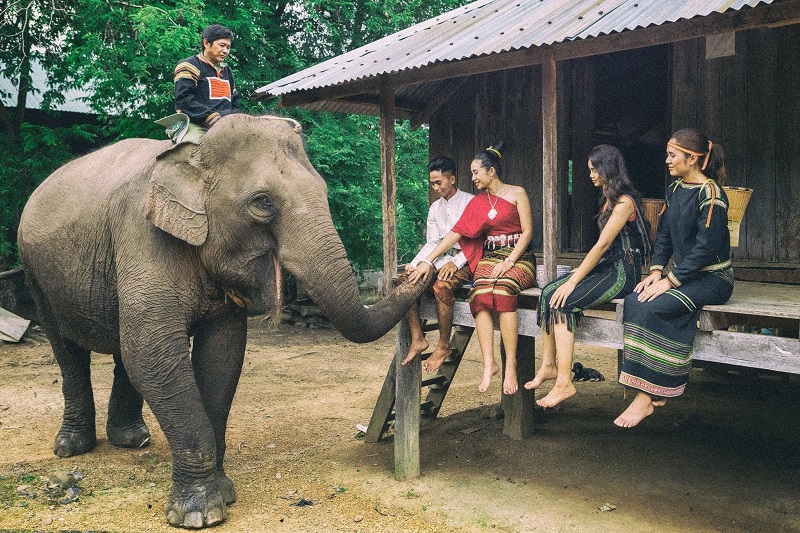 Dịch vụ du lịch voi thân thiện góp phần giúp bảo tồn voi Buôn Đôn - Đắk Lắk. 