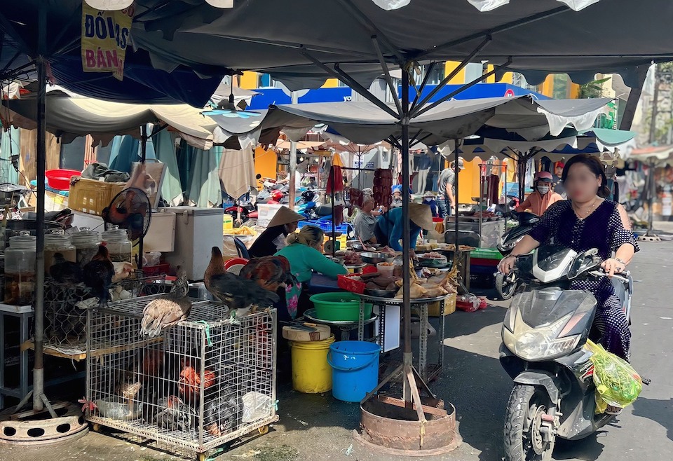 TP Hồ Chí Minh: Cảnh báo nguy cơ xâm nhập cúm gia cầm H5N1 từ chợ đầu mối