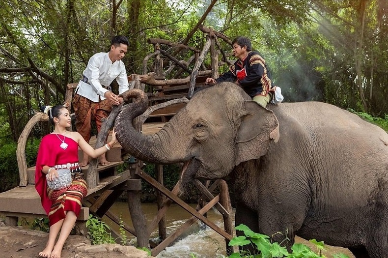 Đắk Lắk: Doanh nghiệp du lịch kêu gọi du khách "cười với voi thay vì cưỡi voi"