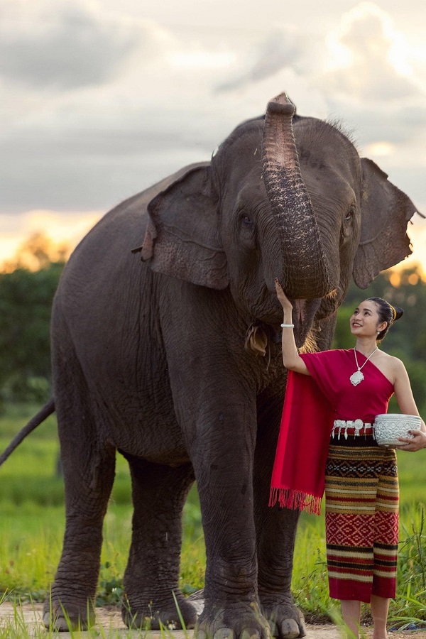 Cười với voi thay vì cưỡi voi là thông điệp nhân văn ngành du lịch tỉnh Đắk Lắk muốn gửi đến du khách.