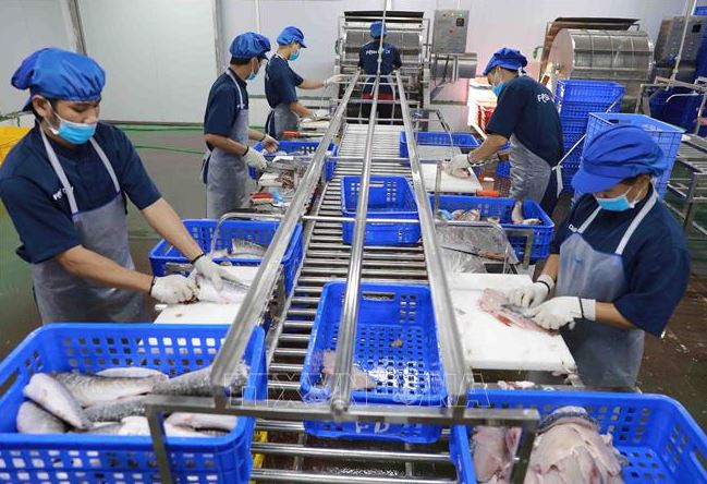 Kích hoạt chuyển đổi số trong hợp tác xã