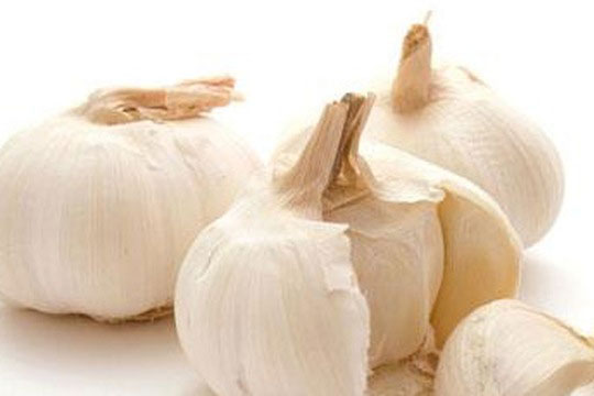 Tỏi độc Trung Quốc: Ăn vào sinh ung thư