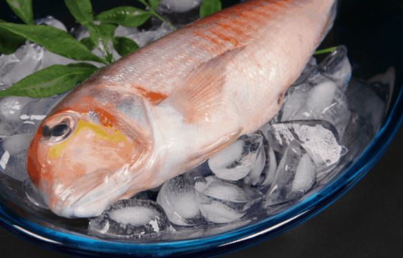 3 loại cá chứa nhiều kim loại nặng có bán rẻ như cho cũng đừng tham lam kẻo rước bệnh