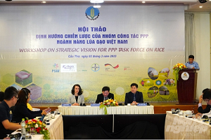 Lập nhóm công tác đối tác công tư phát triển ngành lúa gạo