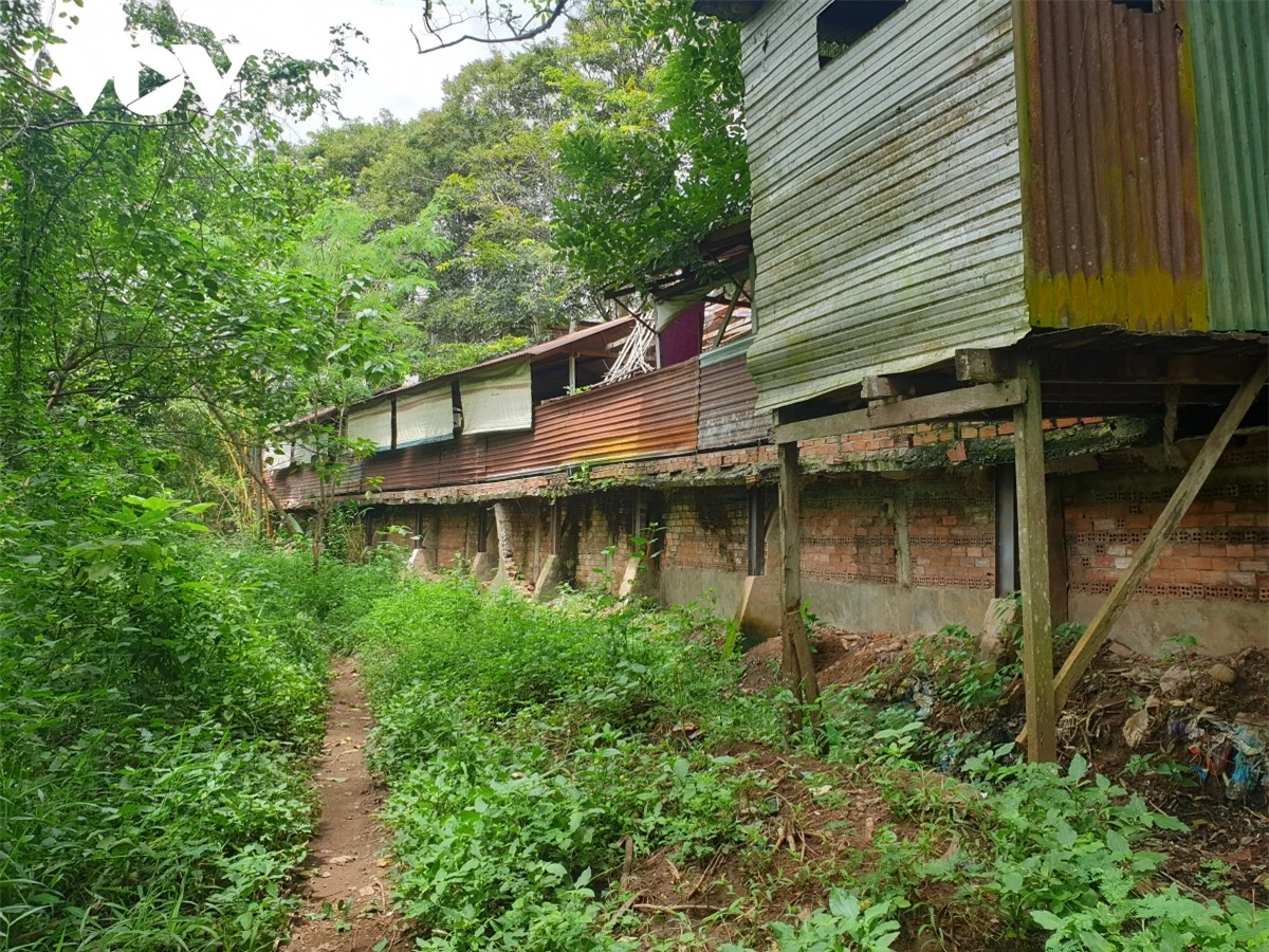 thac nha Den - thang canh ngu quen giua long thu phu ca phe buon ma thuot hinh anh 10