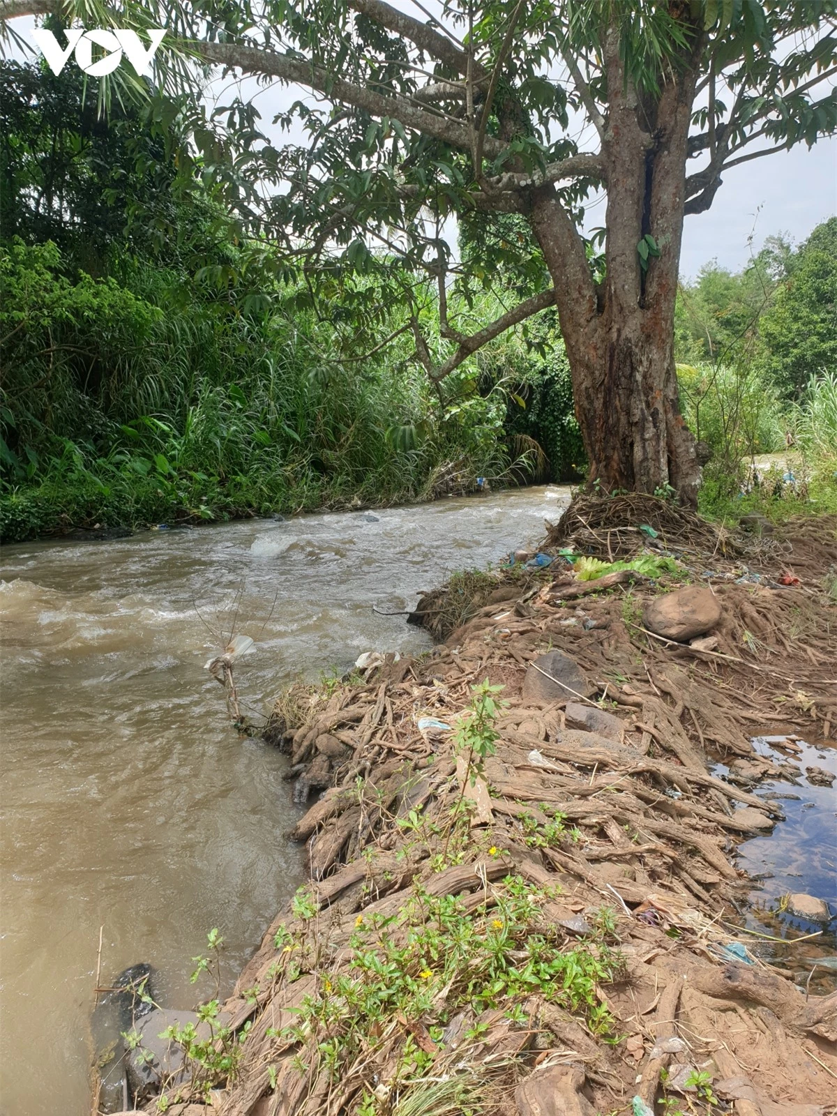 thac nha Den - thang canh ngu quen giua long thu phu ca phe buon ma thuot hinh anh 5