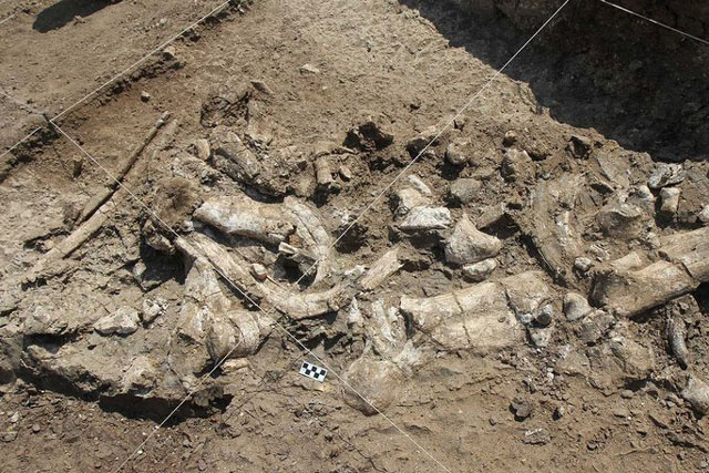 Phát hiện sốc: "Đồ công nghệ" 3 triệu tuổi không phải con người làm ra