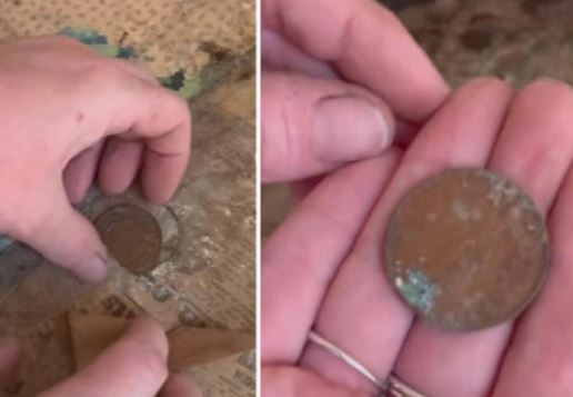 Cô gái vướng thị phi khi vô tình phát hiện 'báu vật' trị giá gần 1 tỷ đồng lúc đi dọn dẹp thuê