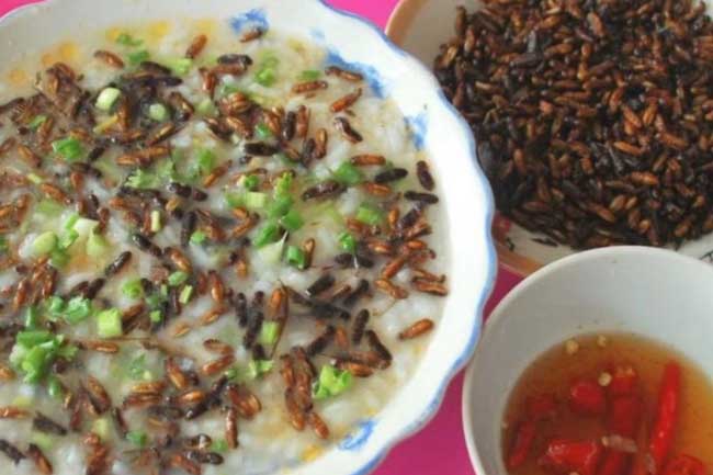 Món cháo độc đáo được nấu từ đặc sản 'tôm bay' trên đỉnh Trường Sơn