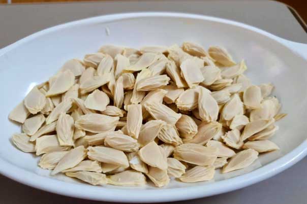 Công dụng làm đẹp da, giảm cân chữa bệnh từ một loại hạt bỏ đi, khiến ai cũng phải bất ngờ