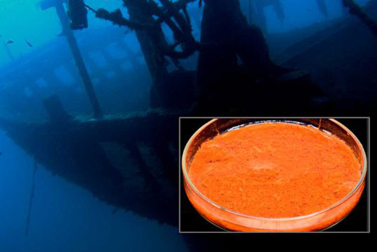 Sốc: Tàu ma 6 thế kỷ chứa 3.000 thứ không thể phân hủy