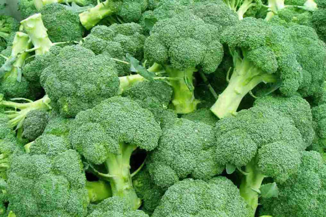 Không phải cá tôm, 8 loại rau này còn giàu canxi hơn rất nhiều lần