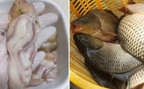 Người bán cá tiết lộ: 5 bộ phận "đại bẩn" của cá, tiếc đến mấy cũng đừng ăn kẻo rước bệnh