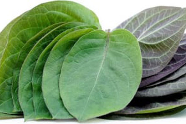 Một loại lá quen thuộc được bán đầy chợ Việt đem lại nhiều lợi ích với dạ dày mà không phải ai cũng biết