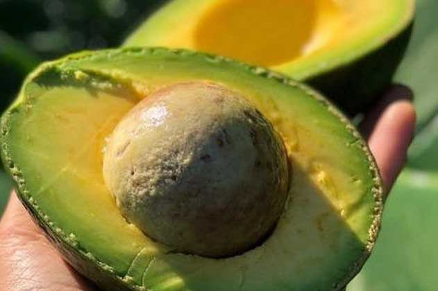 5 sai l&#x1EA7;m tai h&#x1EA1;i khi &#x103;n b&#x1A1; khi&#x1EBF;n b&#x1EA1;n &#x111;&#xE1;nh m&#x1EA5;t c&#x1EA3; &#x27;n&#xFA;i&#x27; dinh d&#x1B0;&#x1EE1;ng, l&#x1EA1;i khi&#x1EBF;n c&#x1A1; th&#x1EC3; nhi&#x1EC5;m &#x111;&#x1ED9;c