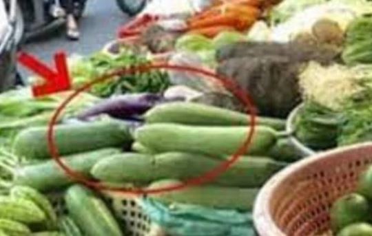 Đi chợ thấy 8 loại rau này nhớ mua ngay: Thơm ngon bổ dưỡng, không bị phun thuốc