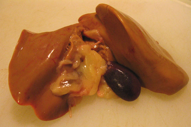 Tác dụng chữa bệnh ít biết từ 3 bộ phận nội tạng của gà