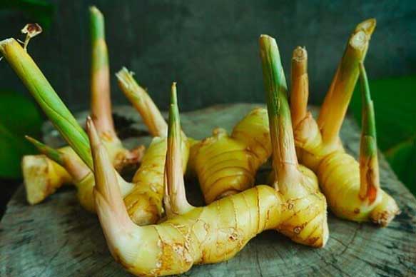 3 loại rau củ rẻ như cho, bán đầy chợ lại là cứu tinh của xương khớp