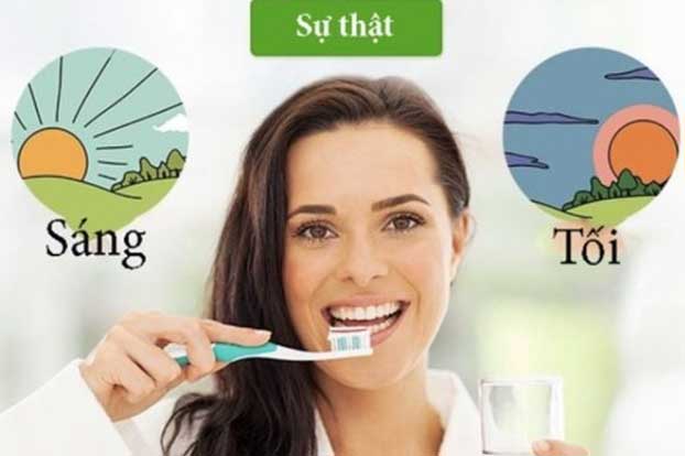 6 c&#xE1;ch &#x111;&#x1A1;n gi&#x1EA3;n m&#xE0; hi&#x1EC7;u qu&#x1EA3; s&#x1ED1; 1 &#x111;&#x1EC3; b&#x1EA3;o v&#x1EC7; r&#x103;ng mi&#x1EC7;ng, s&#x1ED1; 1 c&#x1EA7;n ph&#x1EA3;i h&#x1ECD;c ngay