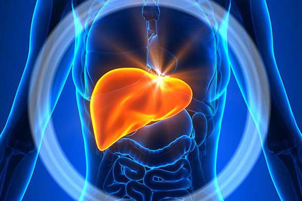 3 mốc "vàng" và 4 bí quyết để nuôi dưỡng một lá gan khỏe mạnh, thải độc tố ra khỏi cơ thể