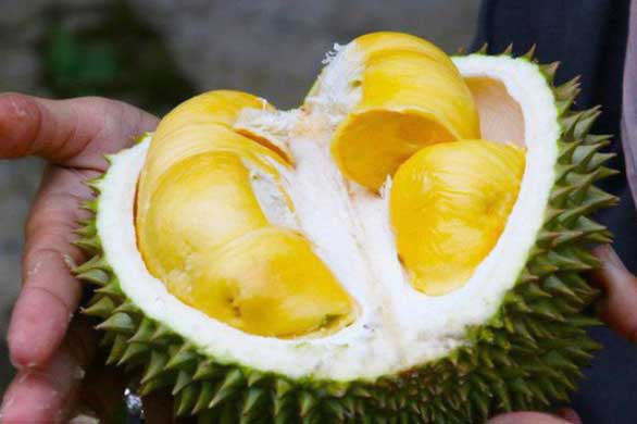 Sầu riêng "gây nghiện" cho nhiều người nhưng những đối tượng này "thèm đến mấy" cũng chớ đụng vào kẻo rước họa