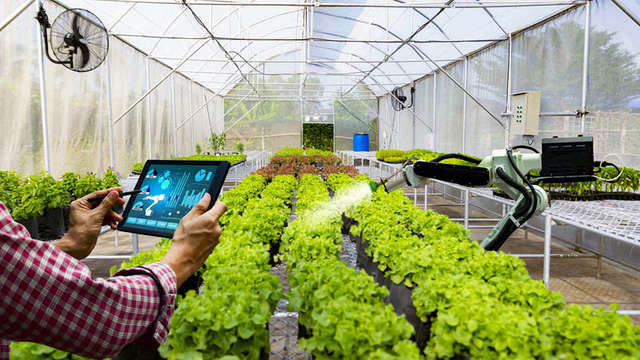 Đề xuất tăng thời gian cho thuê đất nông nghiệp vào mục đích công ích của xã, phường, thị trấn