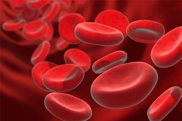 4 chất dinh dưỡng làm tăng hồng cầu cho máu