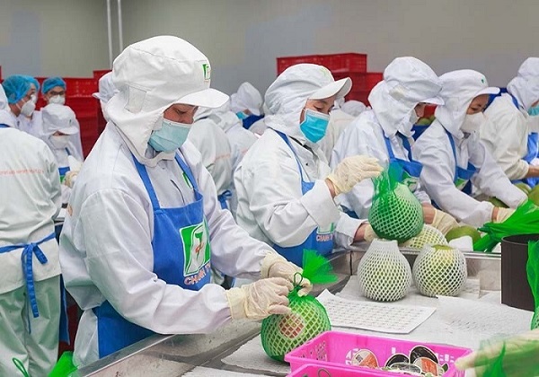 Khởi công xây dựng nhà máy chế biến trái cây xuất khẩu lớn nhất Đắk Lắk