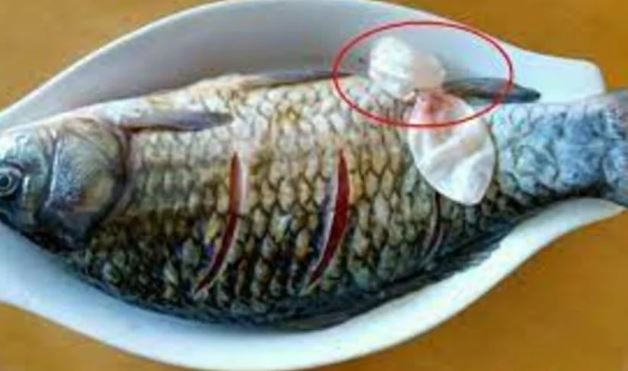 4 bộ phận vừa ngon vừa bổ nhất của con cá, nhiều người thẳng tay vứt vào thùng rác mà không biết