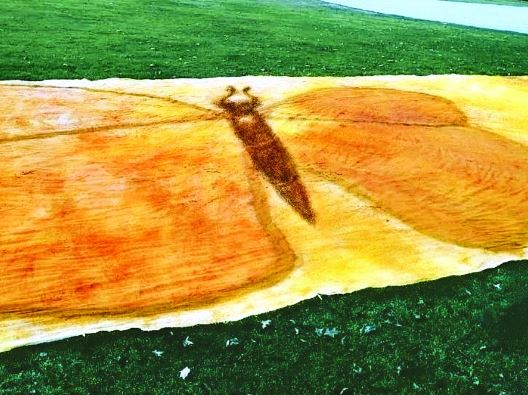 Bức tranh bằng gia vị lớn nhất thế giới của nữ kỹ sư phần mềm