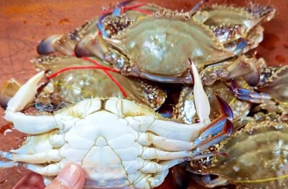 Mách bạn cách chọn mua cua, ghẹ ngon, nhiều thịt, người bán cũng phải khen thông minh