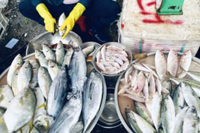 &#x110;i ch&#x1EE3; th&#x1EA5;y 7 lo&#x1EA1;i c&#xE1; n&#xE0;y n&#xEA;n mua ngay: Ng&#x1B0;&#x1EDD;i b&#xE1;n c&#xE1; n&#xF3;i &#x111;&#xE2;y l&#xE0; c&#xE1; t&#x1EF1; nhi&#xEA;n, ng&#x1ECD;t th&#x1ECB;t l&#x1EA1;i b&#x1ED5; d&#x1B0;&#x1EE1;ng